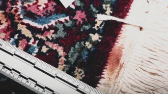 Episode 7 Killer By The Coast