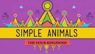 Episode 22 Simple Animals: Sponges, Jellies, & Octopuses