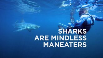 Episode 3 Sharks