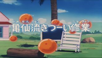 Episode 18 The Turtle Hermit Way