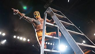 Episode 7 The Top of the Ladder