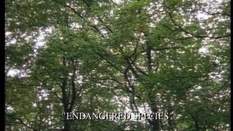 Episode 10 Endangered Species