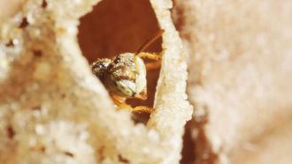 360° - Die GEO-Reportage - Season 27 Episode 18