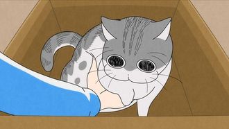 Episode 18 Night 18: The Cat that Won't Move