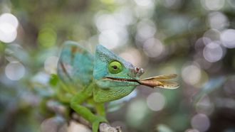 Episode 1 The Hardest Challenge