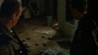Episode 8 Poison Ivy