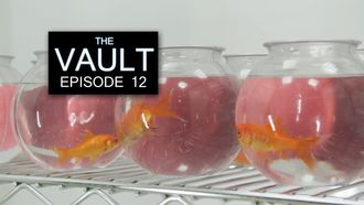 Episode 12 