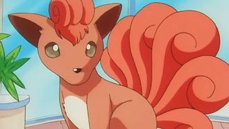 Episode 28 Pokémon Fashion Flash
