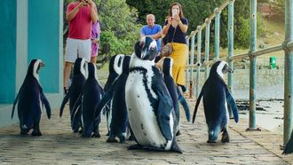 Episode 6 Weekend Warriors