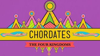 Episode 24 Chordates