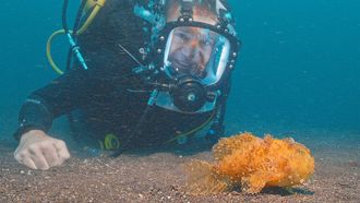 Episode 3 Ocean Oddballs