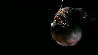 Episode 1 Freaks in the Ocean