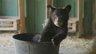 Episode 2 Meet the X-Girls