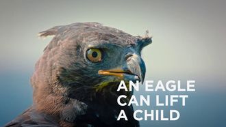 Episode 2 Eagles