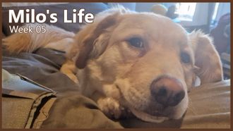 Episode 5 Slow Days | Week 05