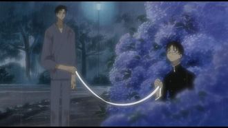 Episode 7 Hydrangea