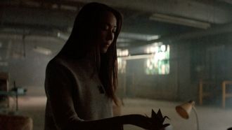 Episode 3 Vegetarian Steaks