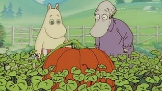 Episode 49 The Giant Pumpkin
