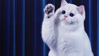 Episode 1 Paws of Glory