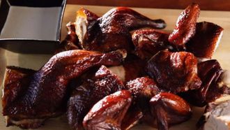 Episode 1 Smoking 101