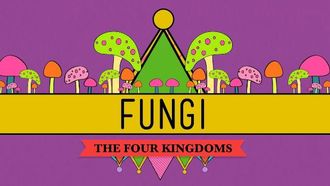 Episode 39 Fungi: Death Becomes Them
