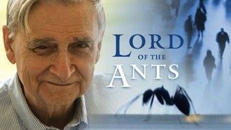 Episode 17 Lord of the Ants