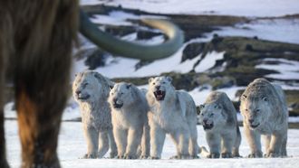 Episode 8 Chapter 8: Age of Ice and Fire
