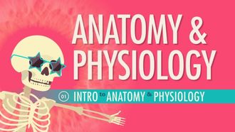 Episode 1 Introduction to Anatomy & Physiology