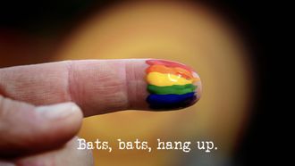 Episode 5 Bats, Bats, Hang Up