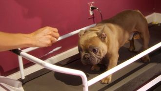 Episode 3 Doggy Style