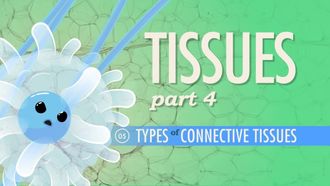 Episode 5 Tissues, Part 4 - Types of Connective Tissues