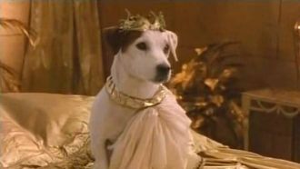Episode 36 The Entrepawneur