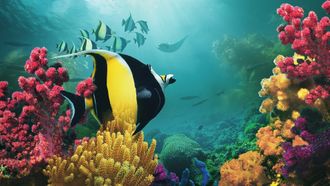 Episode 1 Beneath the Waves