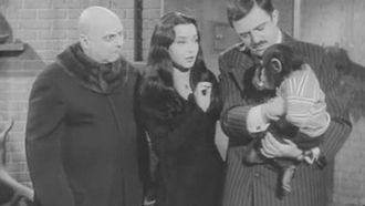 Episode 28 My Son, the Chimp