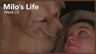 Episode 23 Spoiled Grandchild | Week 23