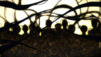 Episode 3 The Final Stage of Assessment Begins