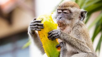 Episode 2 The Grass Is Greener