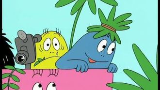 Episode 4 New Guinea - Birds of Paradise