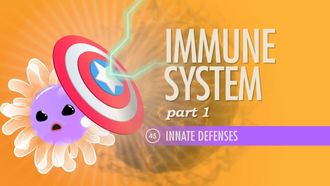 Episode 45 Immune System, Part 1