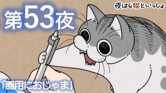 Episode 53 Night 53: Clever Ways to Bug Me