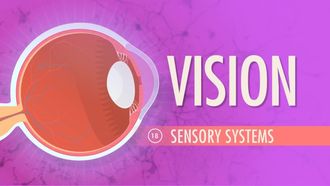 Episode 18 Vision