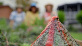 Episode 11 Dino Garden