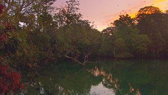 Episode 22 Manatee Spring