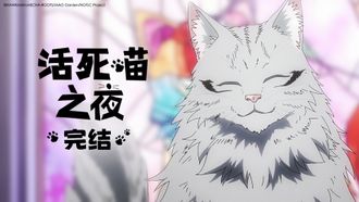 Episode 12 Meow Am Legend