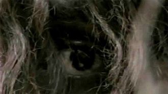 Episode 10 Stalin's Ape Man