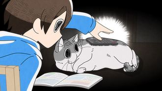 Episode 14 Night 14: The Urge to Put Stuff on Cats