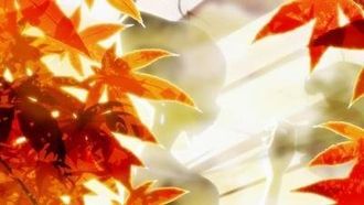 Episode 6 Taking in Fall Colors