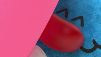 Episode 11 The New Cushion