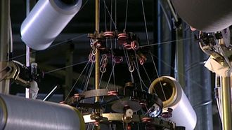 Episode 2 Compact Discs, Mozzarella Cheese, Pantyhose, Fluorescent Tubes