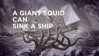 Episode 8 Squid